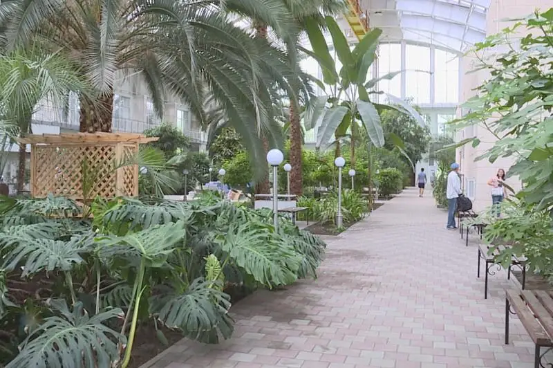 Капитальный ремонт провели в зимнем саду в Темиртау