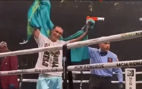 Профессионал бокс