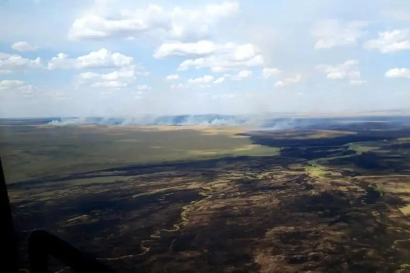 Более 280 человек тушат лесной пожар в Карагандинской области