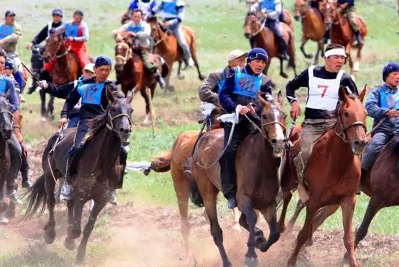 Скакуна загнали на республиканском турнире по байге
