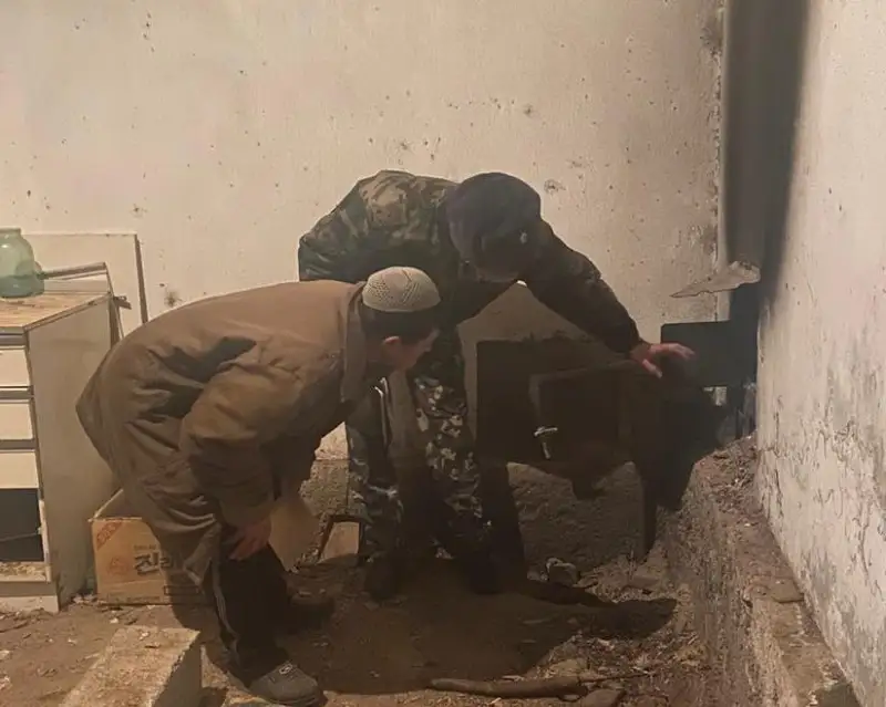 Поход в баню для четверых детей из Жамбылской области едва не закончился трагедией