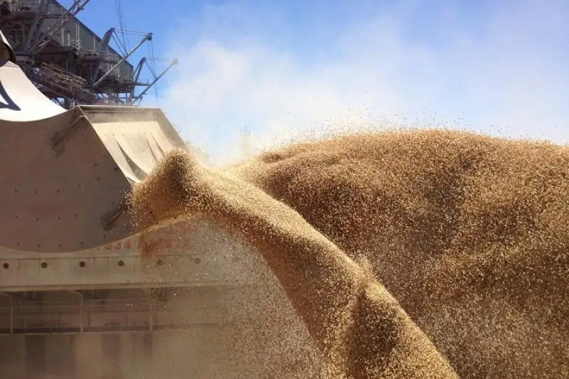 Экспорт казахстанского зерна в Азербайджан вырос почти в 3 раза