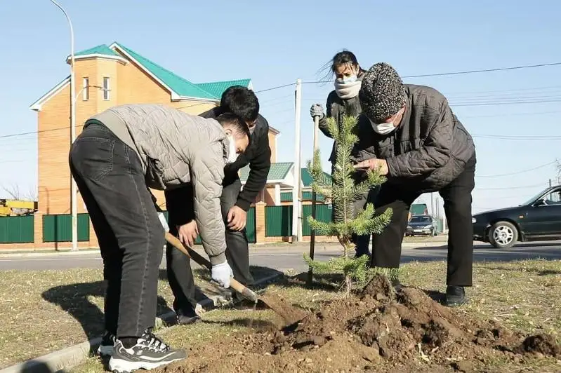 Экологическую акцию по посадке деревьев провели в Кокшетау