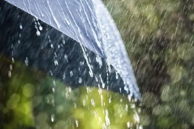 Дожди и ветер: прогноз погоды на три дня дали синоптики