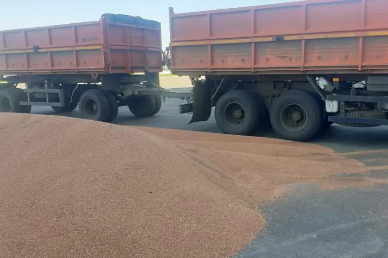 20 тонн пшеницы похитили работники предприятия в СКО