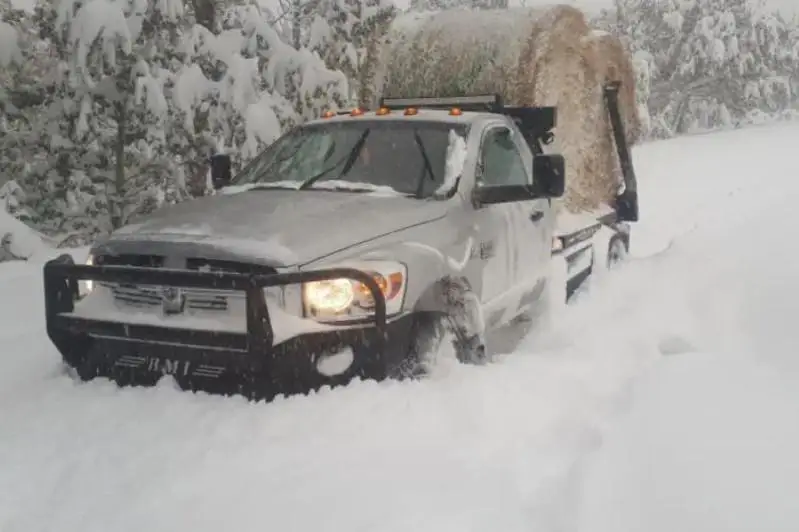 Калгари завалило снегом, зарегистрировано 171 ДТП