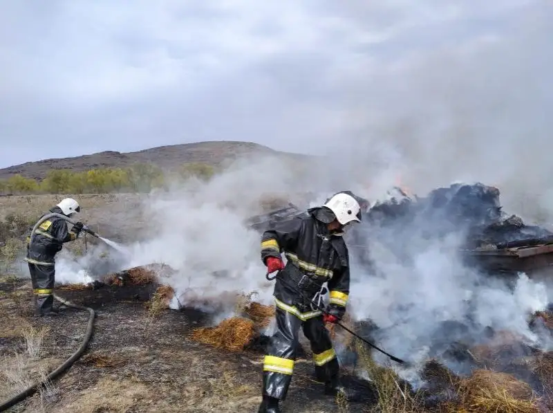Сухая трава горит вдоль реки Чаган в ЗКО