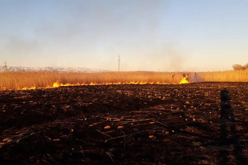 Степной пожар в пяти км от леса потушили в ВКО