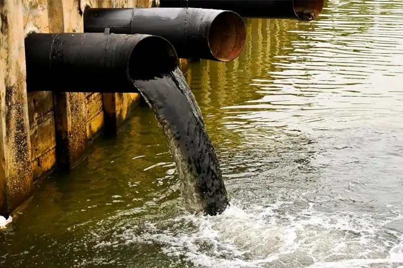 Бороться с сероводородом с помощью водорослей предлагают в СКО