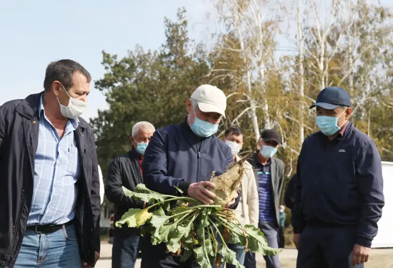 Как избежать зависимости от сахарного завода-монополиста, посоветовал аграриям Бердибек Сапарбаев