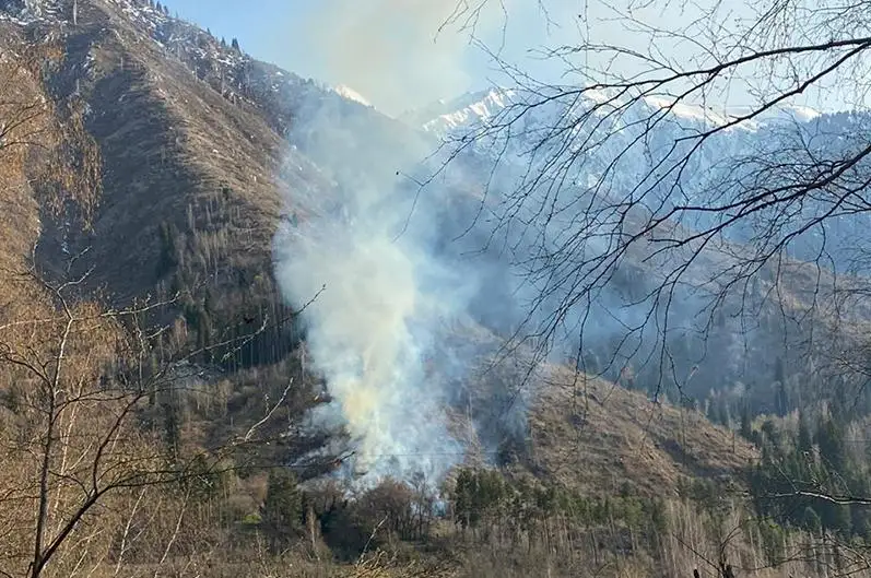 Названа предварительная причина пожара на склоне горы Мохнатка в Алматы