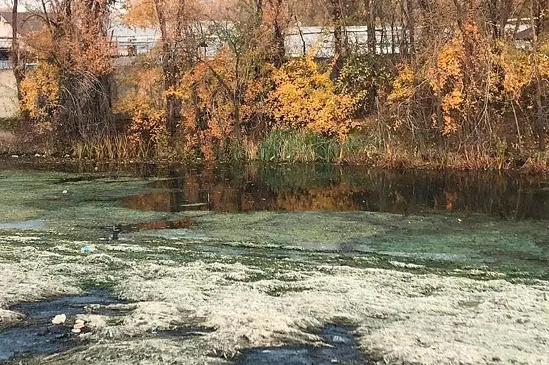 Водоем могли ликвидировать в Алматы: собственника территории оштрафовали