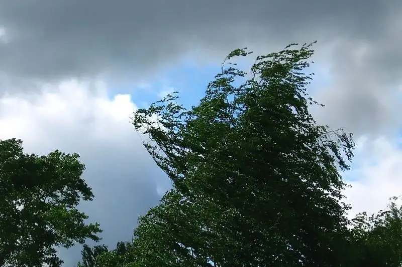 Об усилении ветра до 20 метров в секунду предупредили в Атырау