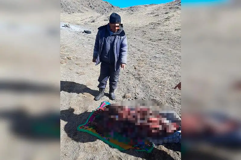 Туши разделанного горного козла обнаружены у жителя Алматинской области