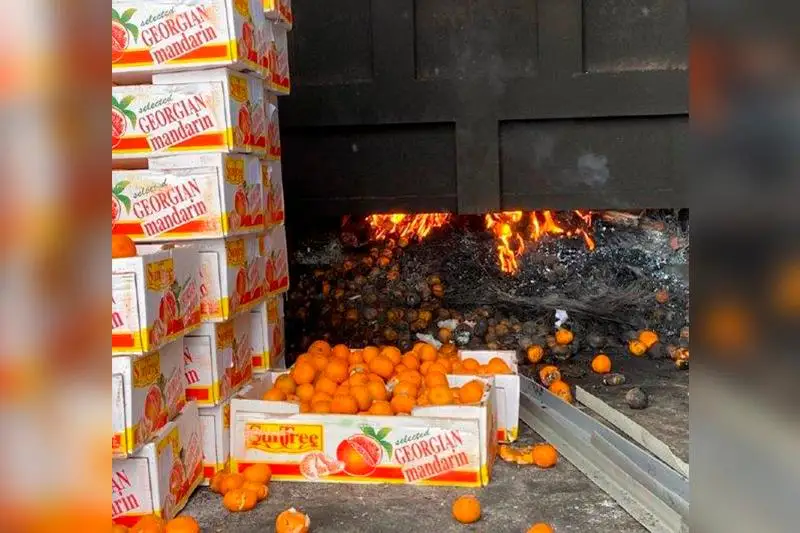 Более тонны опасных мандаринов уничтожили в Нур-Султане