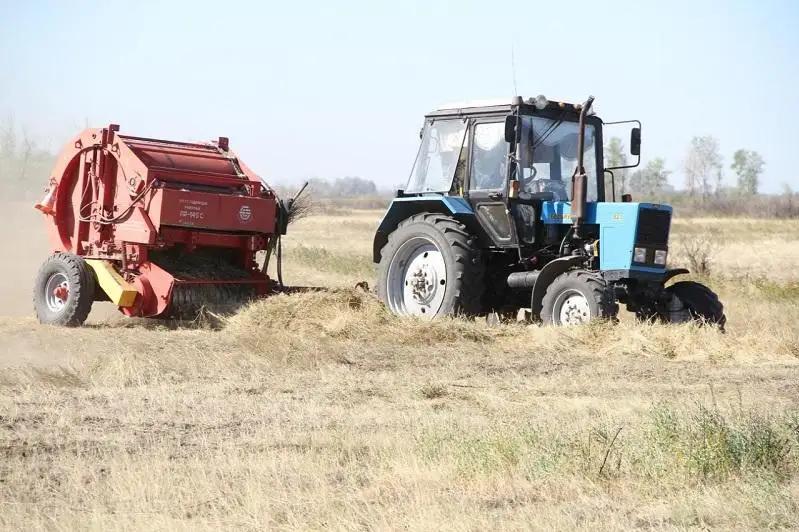 2500 тенге стоит рулон сена в Шынгырлауском районе Западно-Казахстанской области