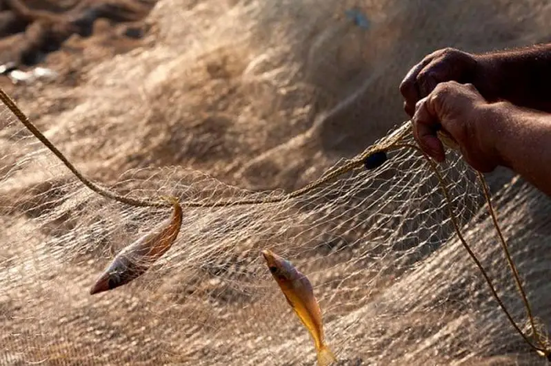 130 кг незаконно выловленной рыбы передали в детсад в Туркестанской области
