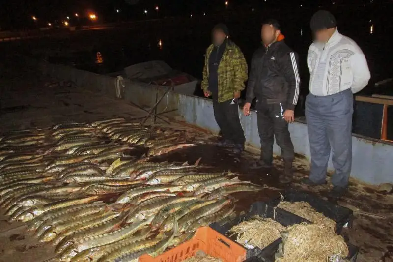 На более чем миллиард тенге предотвратили ущерб пограничники в Каспийском море