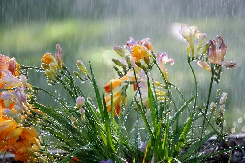 Дожди ожидаются в Казахстане 16 августа