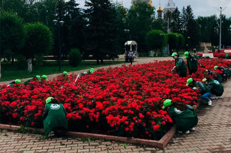 В ЗКО 1200 студентов отряда «Жасыл ел» озеленяют регион