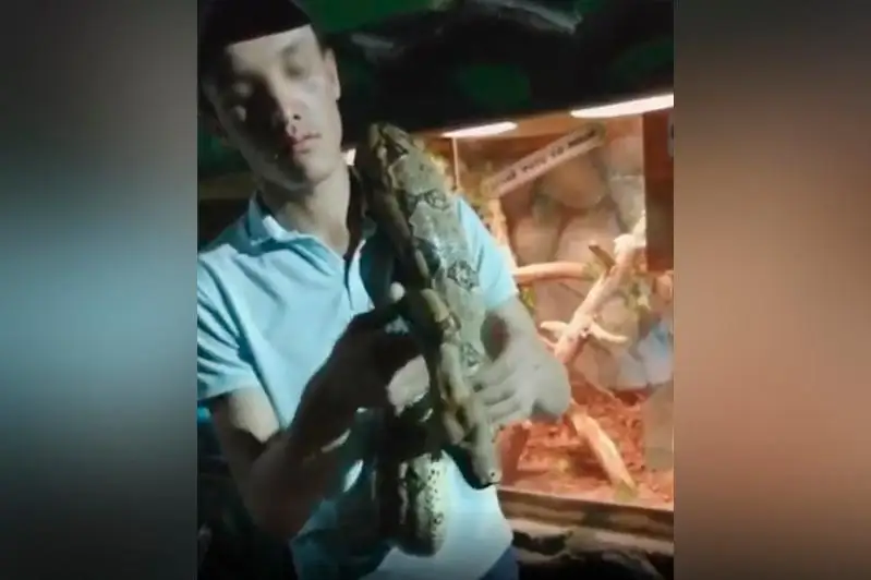 Удава выгуливали возле ТРЦ в Бишкеке