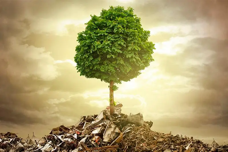 В случаях экологического ущерба природопользователей в РК  обяжут восстановить окружающую среду