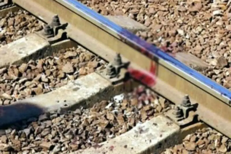 Поезд сбил стадо овец в Карагандинской области