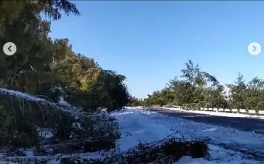 Фото: видеодан кадр