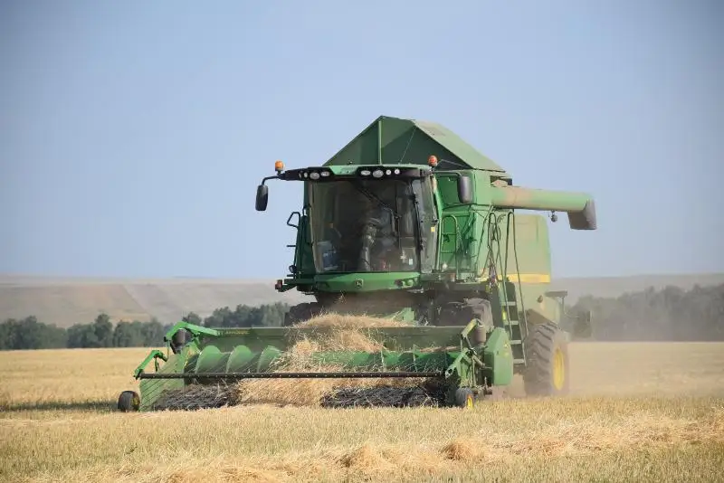 Уборка в отдельных агроформированиях СКО уже началась