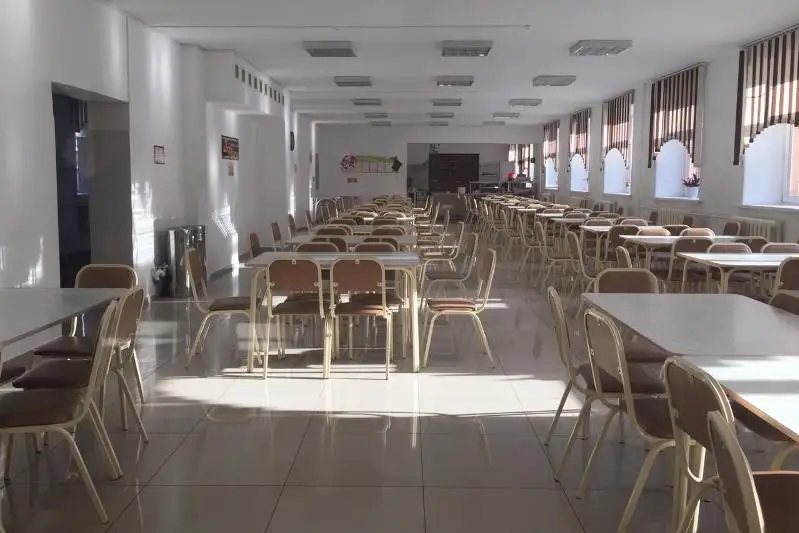 В Акмолинской области пояснили ситуацию с отравлением детей