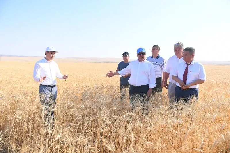 Мы должны поддерживать фермеров – Умирзак Шукеев