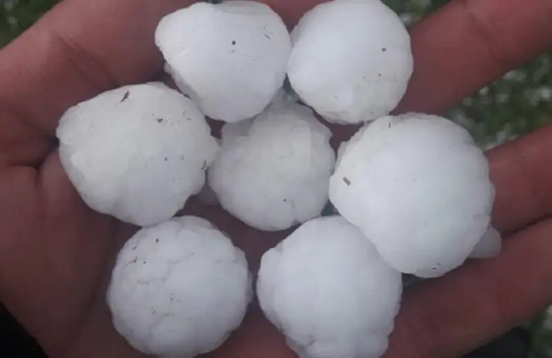 Сильный град уничтожил посевы на юге Грузии