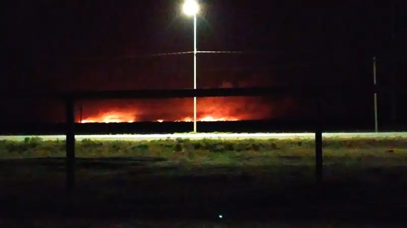 Площадь пожара на побережье Каспия увеличивается в Атырау