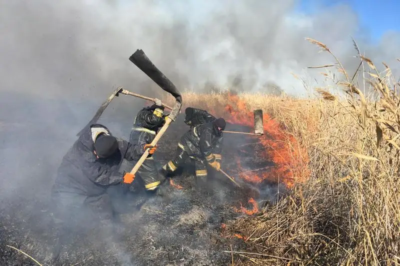 Пятые сутки  тушат возгорание камышовых зарослей в Атырауской области