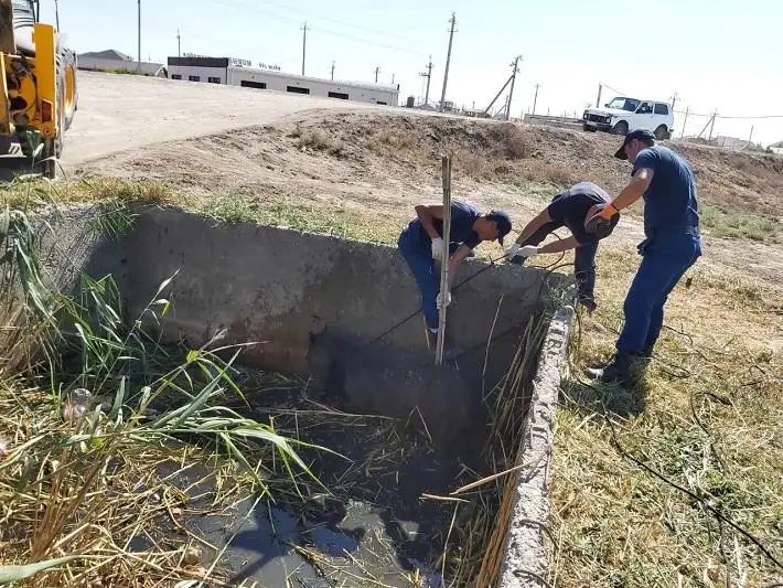 Провалившегося в бункер жеребенка спасли в Атырау