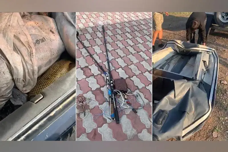 85 кг сазана незаконно выловил житель Капшагая