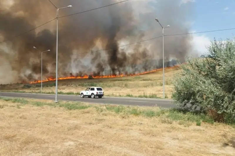 Пожары на сухостое участились в Алматы