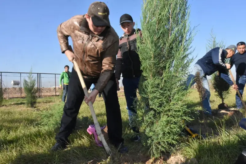 В Туркестане ведется активная работа по озеленению