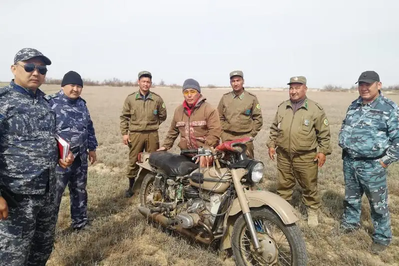 В Костанайской области обследовали более 4 тысяч километров территории обитания сайги