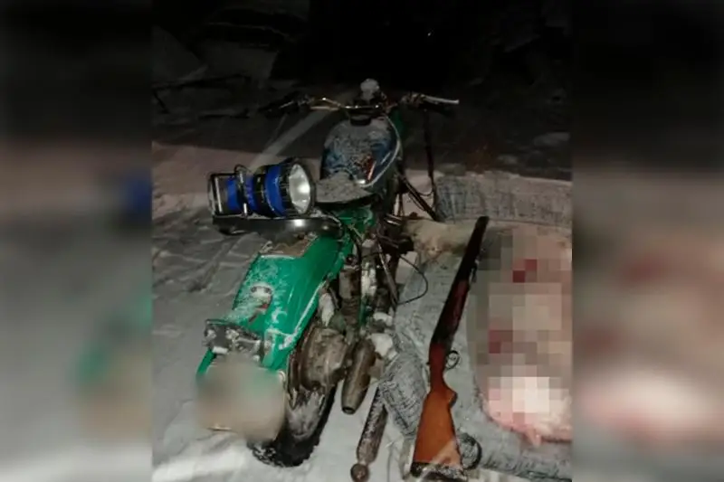 Павлодарца задержали за незаконный отстрел косули