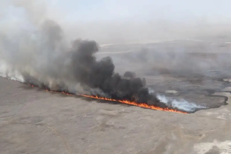 В Атырауской области горят камышовые заросли