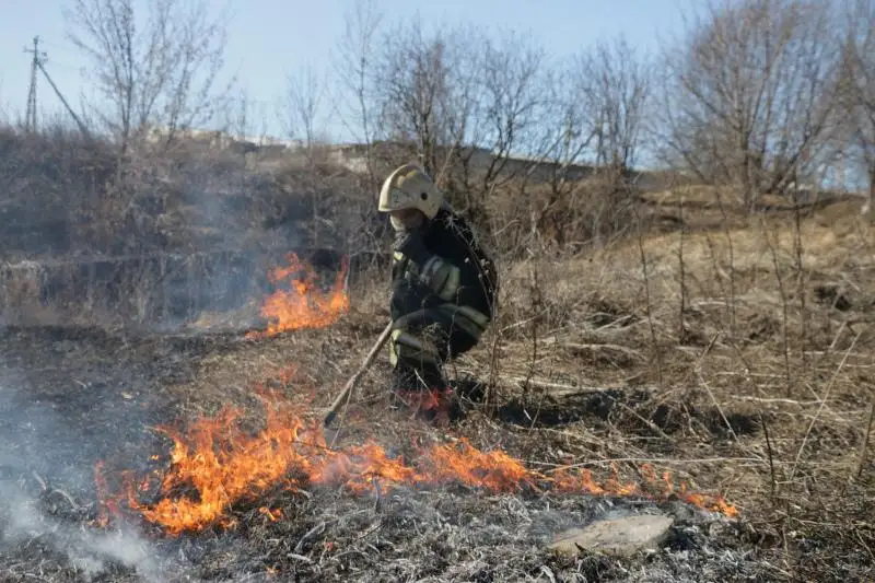 Лесные и степные пожары: оштрафованы более 150 казахстанцев