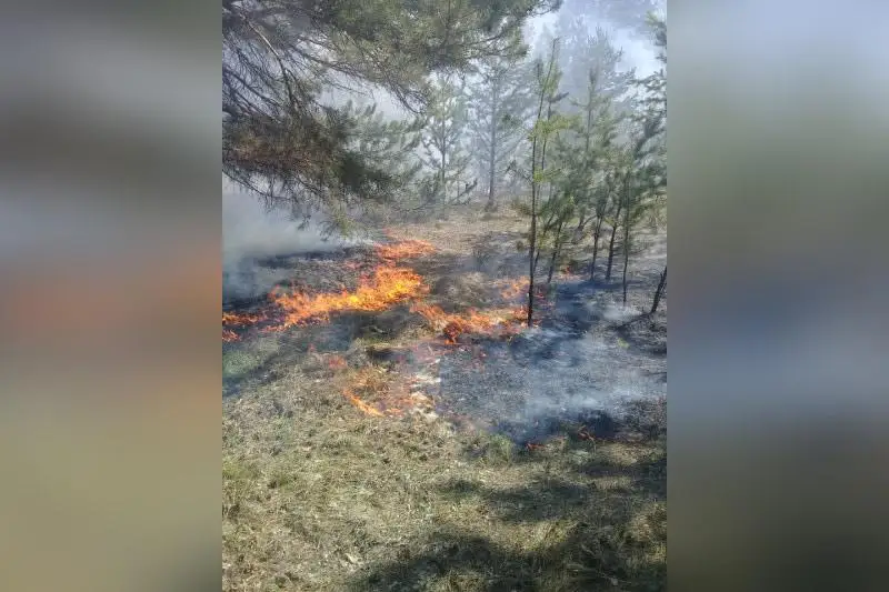 Более 30 природных пожаров за сутки произошло в Казахстане