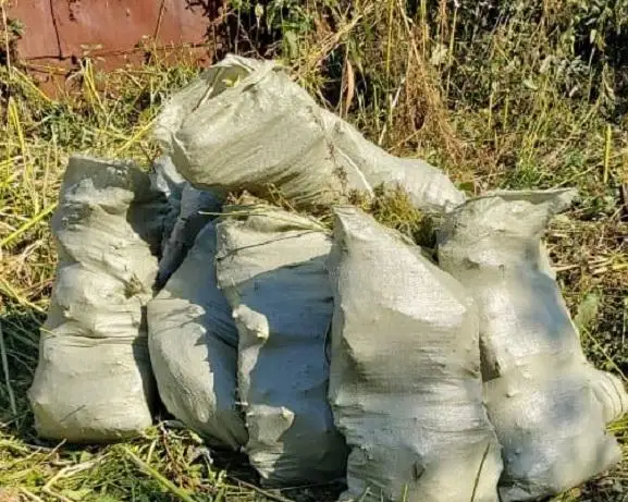 Плантацию конопли обнаружили в Петропавловске