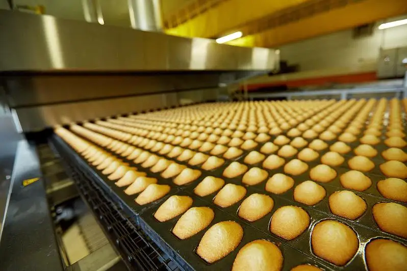 Как намерены стимулировать легкую и пищевую промышленность в Казахстане