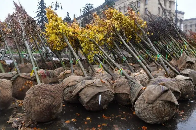 Вернуть Алматы славу самого зеленого города планирует Бакытжан Сагинтаев