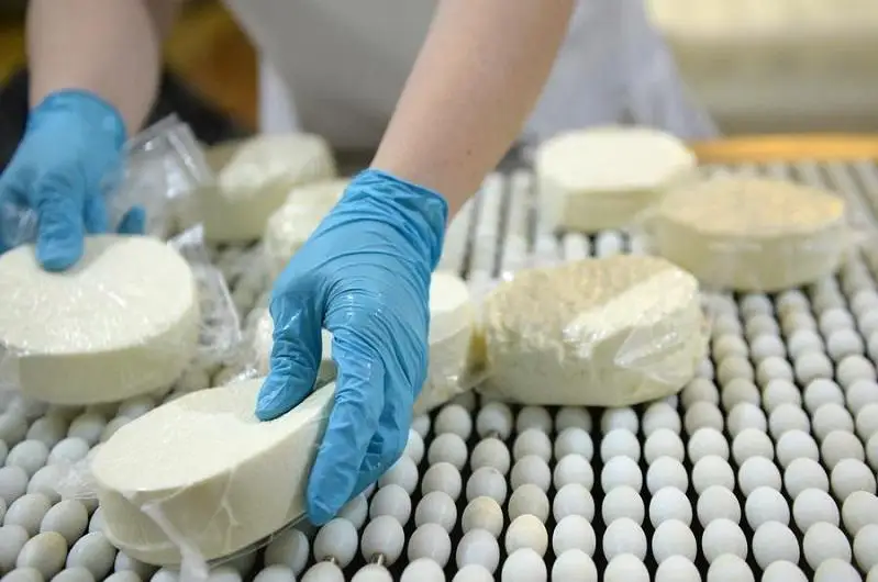 Обеспечить регион сыром собственного производства намерены в СКО