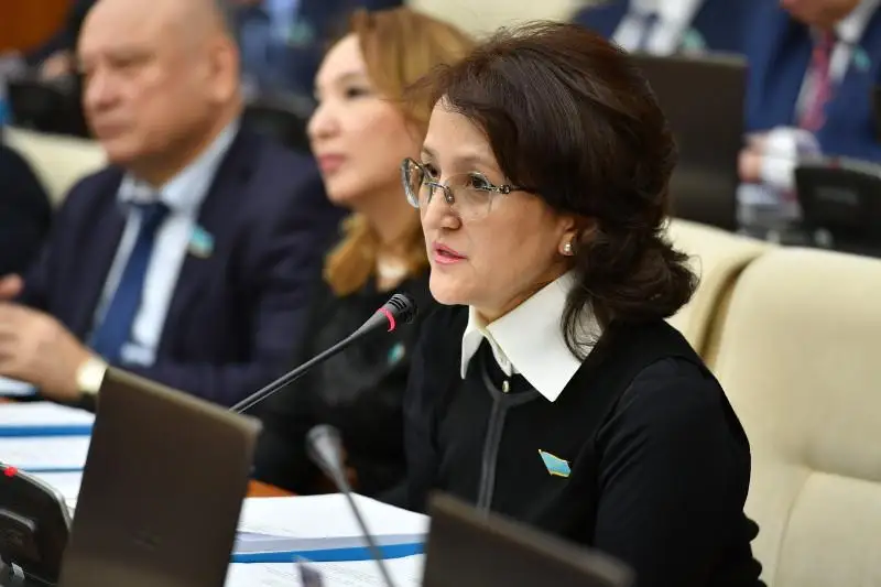 Мажилисмен: Предвыборная программа партии «Nur Otan» отвечает запросам времени
