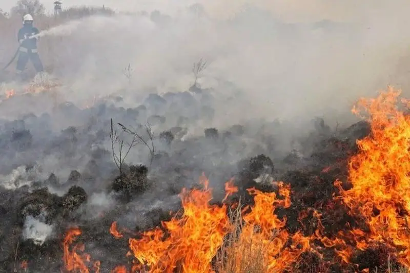 Пожары охватили крупнейший национальный парк Польши