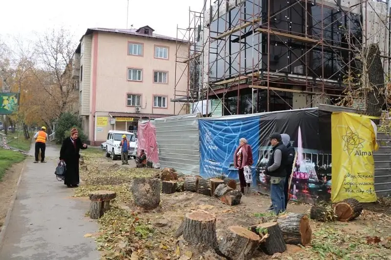 Вырубку деревьев напротив Ботанического сада в Алматы объяснили в акимате